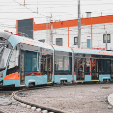 Фото: gov.spb.ru