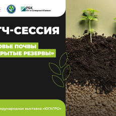 фото: Медиа Группа РБК Юг и Северный Кавказ 