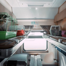 Более 2,6 тыс. питомцев без сопровождения владельцев перевезено на ГЖД