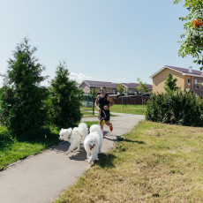 Почему переезд за город меняет жизнь не только людей, но и животных