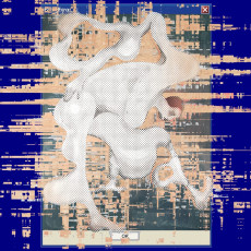 РБК Приморье выпустил первый журнал 2026 года