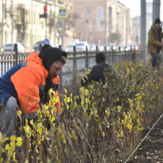Фото: Сергей Сапоцкий