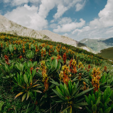 фото: Максим Гордышев