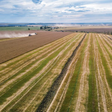 Фото: пресс-служба ГК «Продимекс»