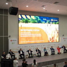 фото: РБК Юг