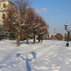 Фото: пресс-служба «РКС-Тамбов»