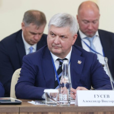 Александр Гусев (Фото: пресс-служба правительства Воронежской области)