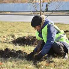 Фото: Сергей Сапоцкий