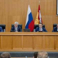 Фото: пресс-служба правительства Воронежской области