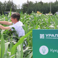 Автор фото: Анна Кричфалушая