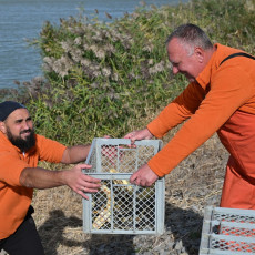 фото: пресс-служба Ростовской АЭС