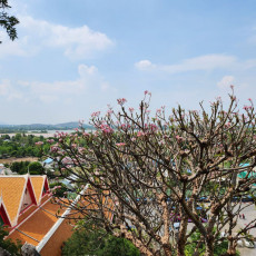 Фото: ПАО «МегаФон»