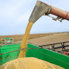 Андрей Андрейченко: Приморье снижает зависимость от завозной продукции