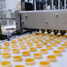 РБК Юг, Роман Благов