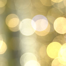 Жителей Прикамья приглашают на «Главную морскую елку страны»