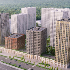 В Новосибирске стартовал проект КРТ рядом с Заельцовским парком