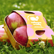 Фото: пресс-служба компании «Агроном-сад»