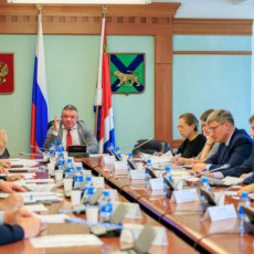 Приютам для диких животных в Приморье запретили капитальное строительство