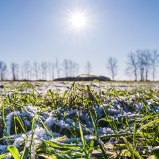 Фото: пресс-служба ГК «Продимекс»