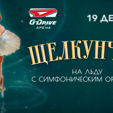 Фото: ООО «Ледовые сезоны»