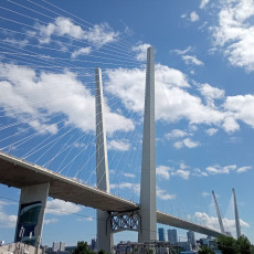В Приморье число предпринимателей выросло почти до 94 тысяч
