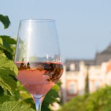 Фото: ООО «Шато де Талю»