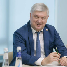 Александр Гусев (Фото: пресс-служба правительства Воронежской области)