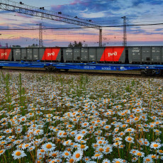 Фото: пресс-служба СКЖД