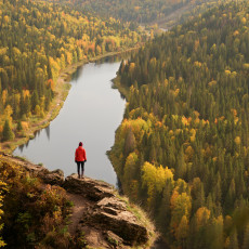 Фото: Shutterstock