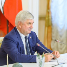 Александр Гусев (Фото: пресс-служба правительства Воронежской области)