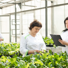 Фото: пресс-служба «СоюзСемСвекла»