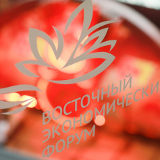 На ВЭФ–2026 обсудили сотрудничество России и Сербии