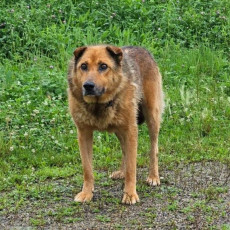 Фото: РБК Приморье