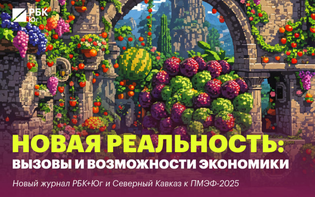 фото: Медиа Группа РБК Юг и Северный Кавказ