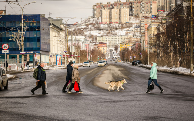 Фото: пресс-служба