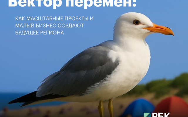 Фото: РБК Приморье