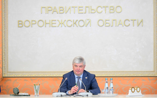 Александр Гусев (Фото: пресс-служба правительства Воронежской области)