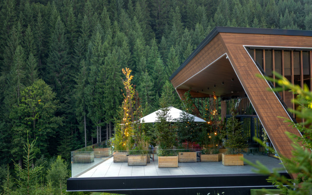 Фото: ru.freepik.com