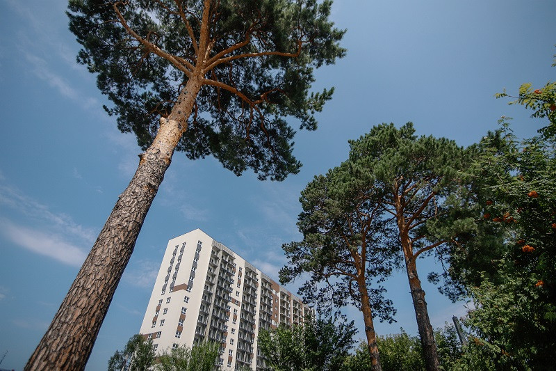 #2 Недвижимость Новосибирска: перспективы районов, 28 сентября