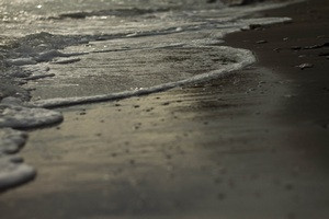 #4 Индустрия отдыха. Краснодарский край, 15 июня