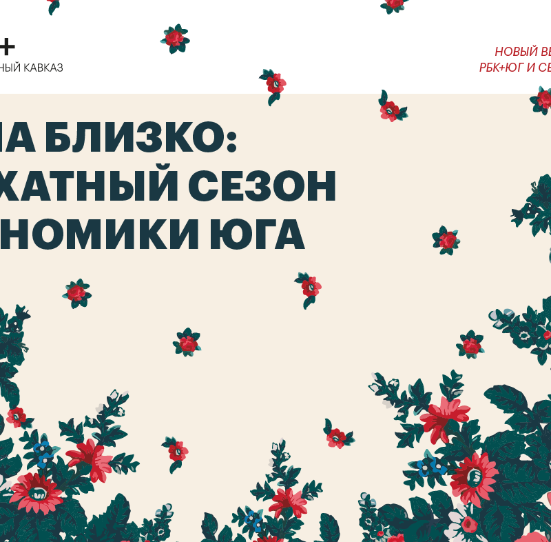 #20 Журнал РБК+Юг, 11 ноября