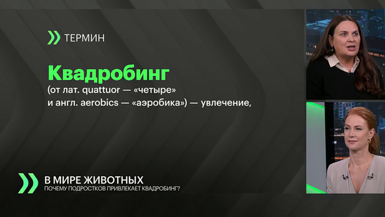 Что дальше? 08.10.2024 - БУДЬ ЧЕЛОВЕКОМ