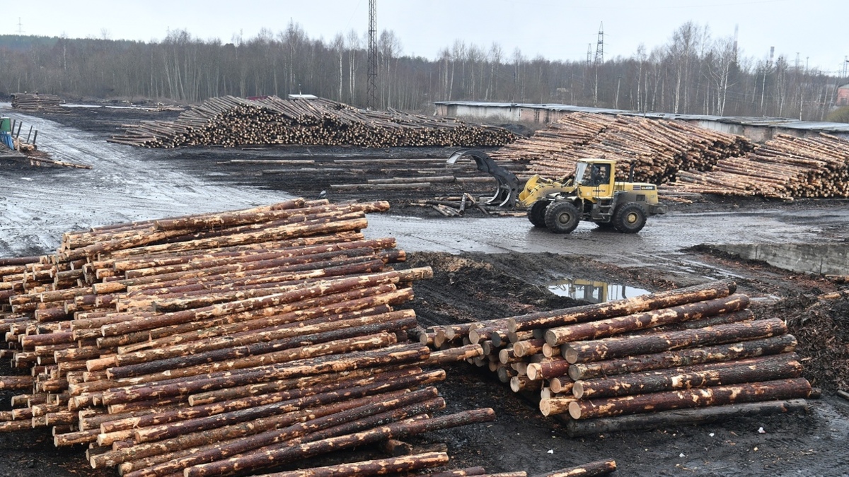 Фото: gov.karelia.ru