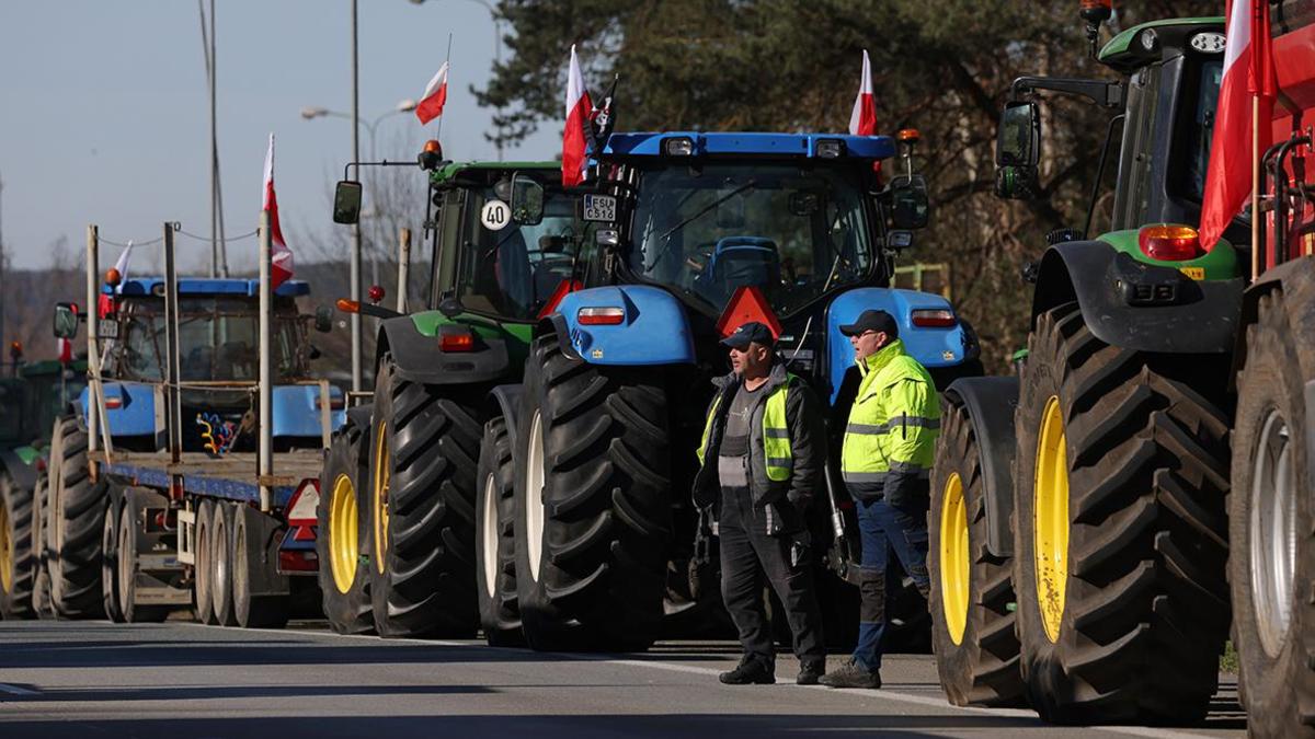 Польские фермеры заблокировали второй КПП на границе с Украиной — РБК