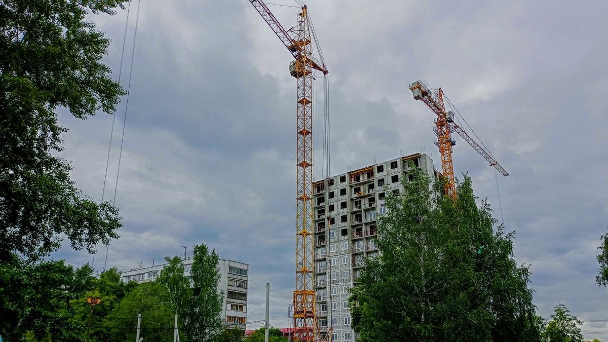 Фото: Алексей Коваленок / РБК Новосибирск