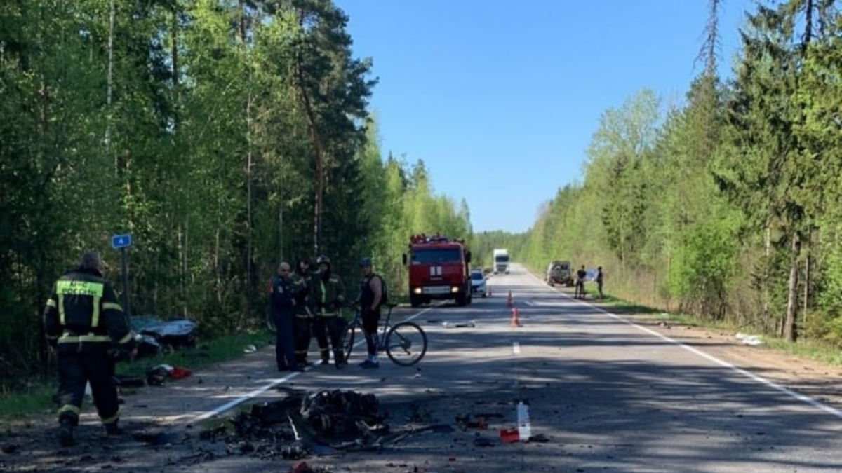 Военные следователи займутся смертельным ДТП в Ленобласти — РБК