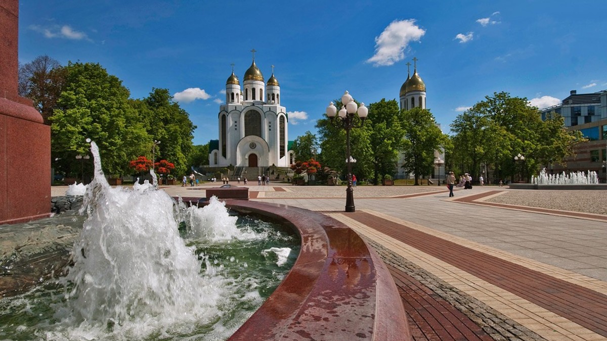 Фото: Наталья Коллегова