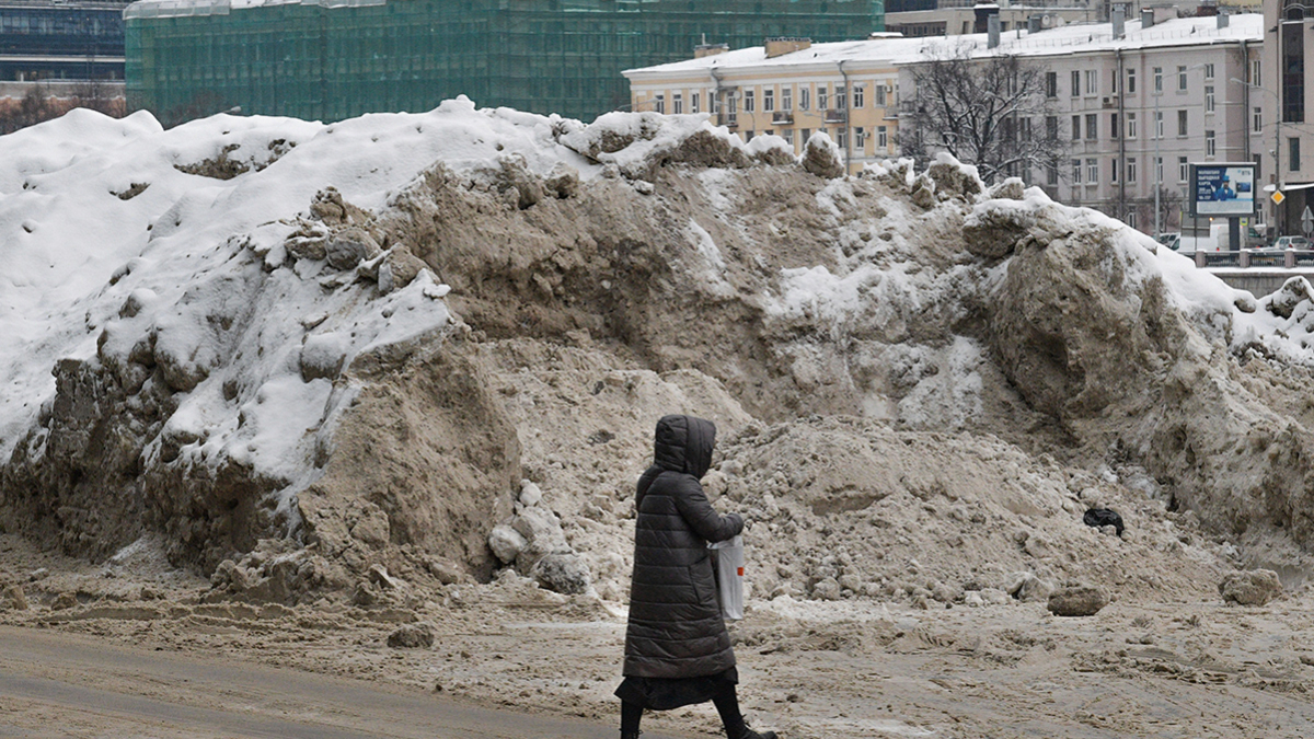 Беглов словами «я не беру на лапу» ответил на критику уборки снега — РБК