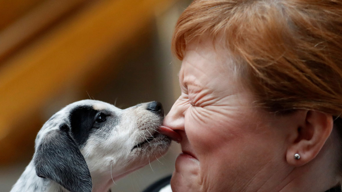 Фото: Russell Cheyne / Reuters
