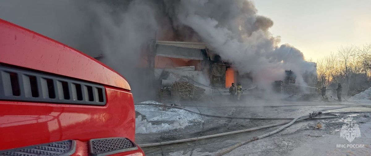 Фото: пресс-служба ГУ МЧС по Новосибирской области